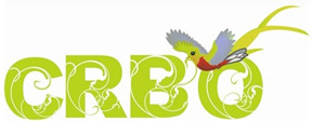 CRBO logo (72ppi 4x)