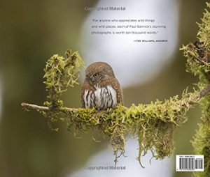 Owl by Paul Bannick back cover (c) 2016 The Mountaineers Books