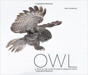 Owl by Paul Bannick front cover (c) 2016 The Mountaineers Books