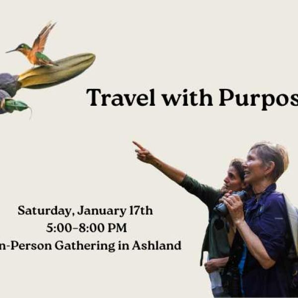 Two women looking up at a hummingbird on a branch.