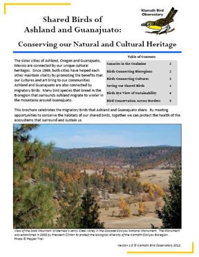 birds of ashland and guanajuato (72ppi 4x)