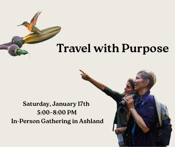 Two women looking up at a hummingbird on a branch.