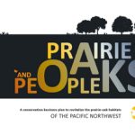 Prairie Oaks and People business plan cover v100517 (72ppi 4x3)