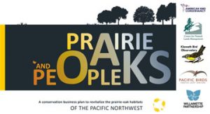 Prairie oaks and people 72ppi 5xX