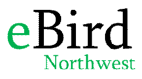 eBird NW Logo (72ppi 4xX) (4)