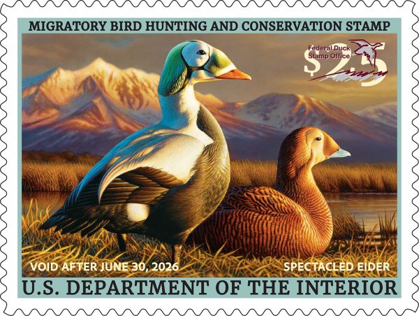 2025-2026 Conservation Stamp Set - Image 3