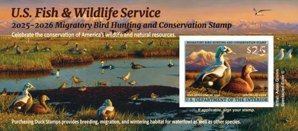 2025-2026 Conservation Stamp Set - Image 4