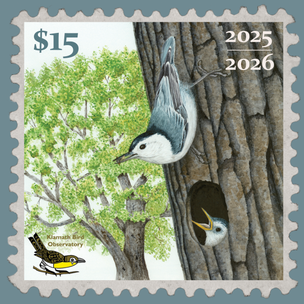 2025-2026 Conservation Stamp Set