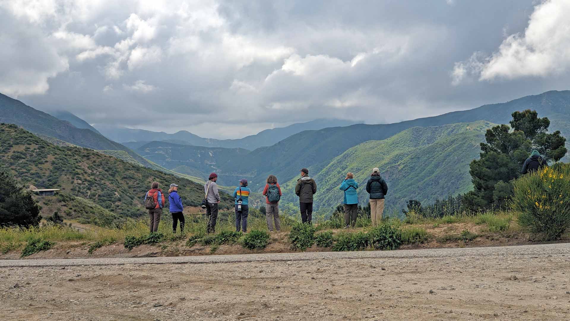 A line of people looking out onto a vast mountain range looking for birds.