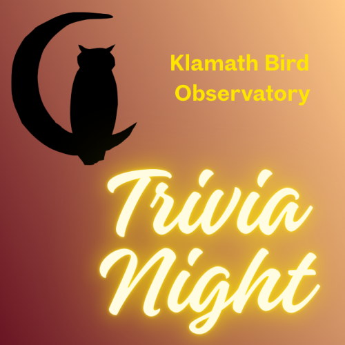 An owl sitting on a crescent moon with trivia night written in cursive