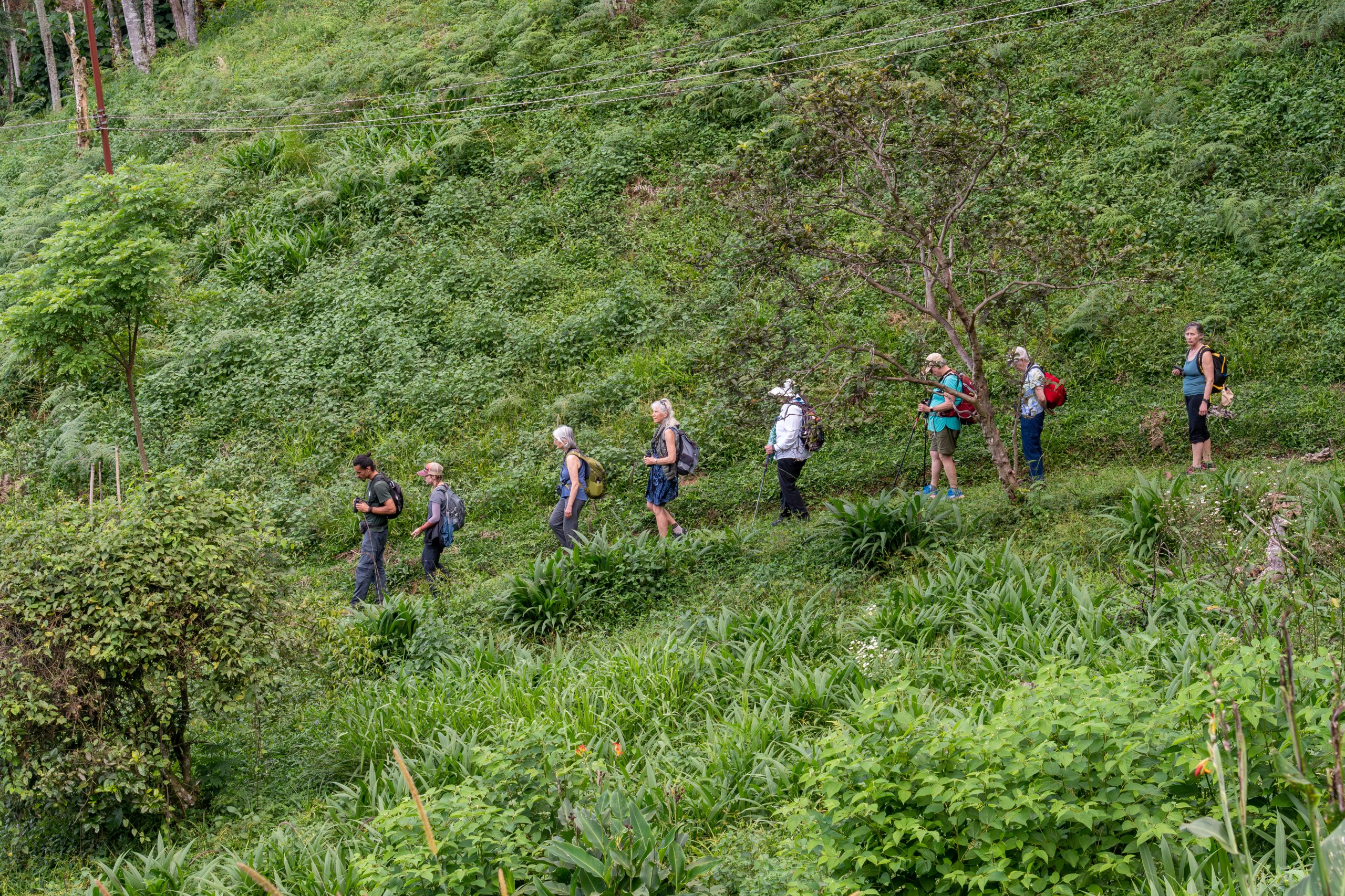 A green hillside with a group of people walking on a trail.
