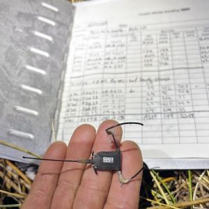 a retrieved bird migration tracking tag, photo by Joe Metzler
