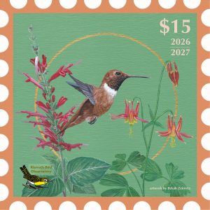 2026-2027 Conservation Stamp Set